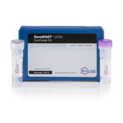 SensiFast cDNA Synthesis Kit