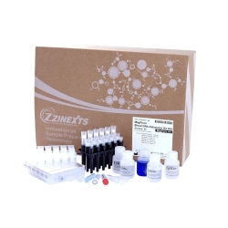 MagPurix12