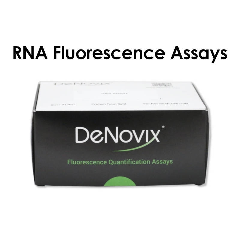 RNA Fluorescence Assay