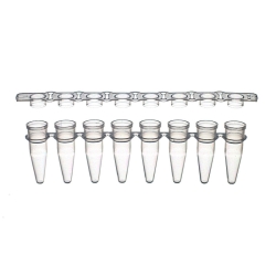 Strips of 8 tubes ad caps for qPCR and PCR