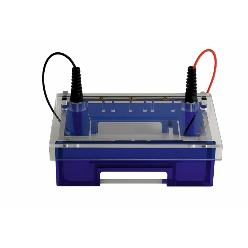 Compact M Submerged Gel Electrophoresis System
