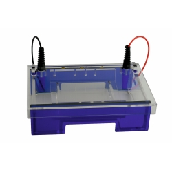 Electrophoresis Chamber Midi Large Multi System
