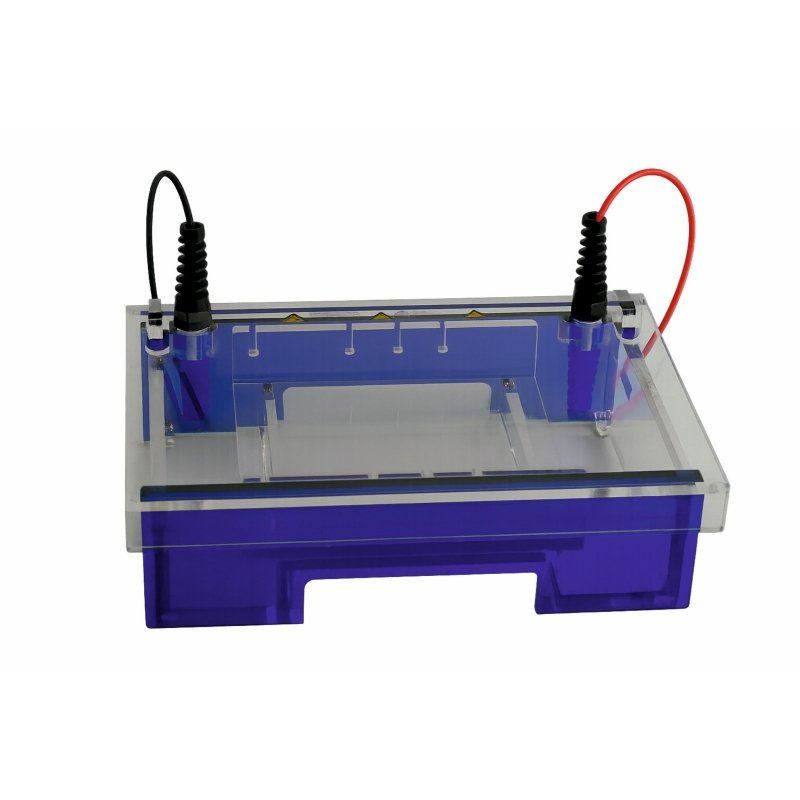Electrophoresis Chamber Midi Large Multi System