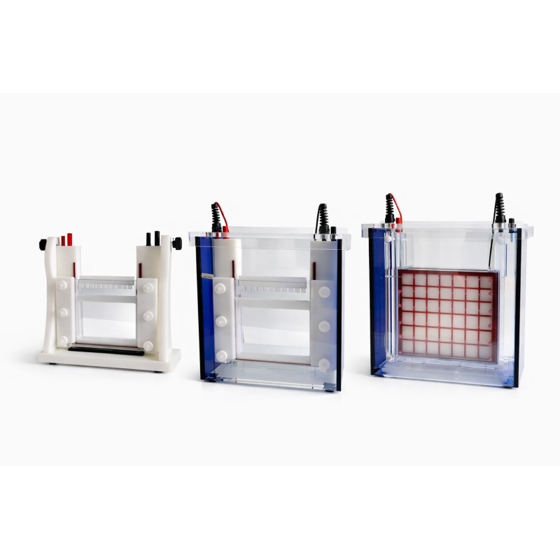 Eco Maxi Vertical Electrophoresis System