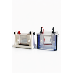 H10 Mini vertical electrophoresis chamber