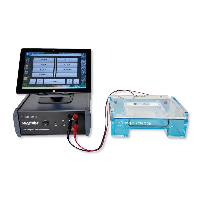 MegaPulse Electrophoresis System