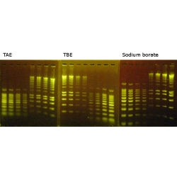 GRGreen Nucleic Acid Stain