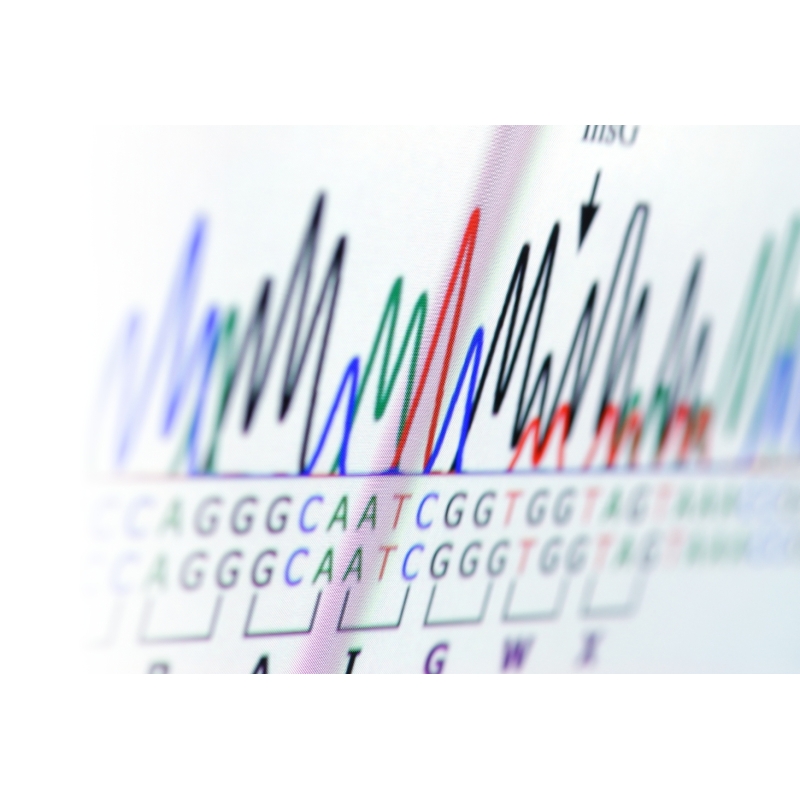 Sanger Sequencing