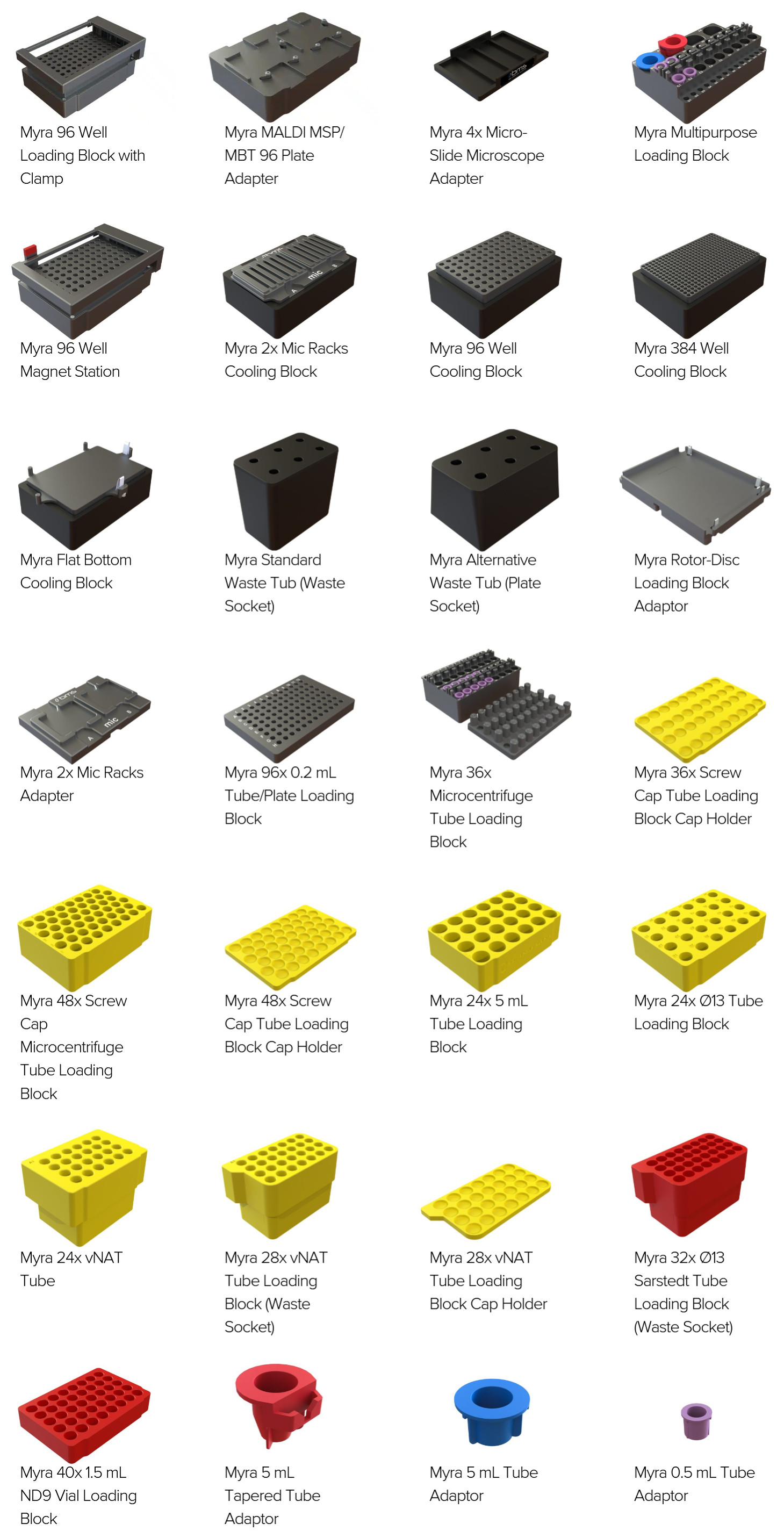 Myra Accessories Large_NC.jpg