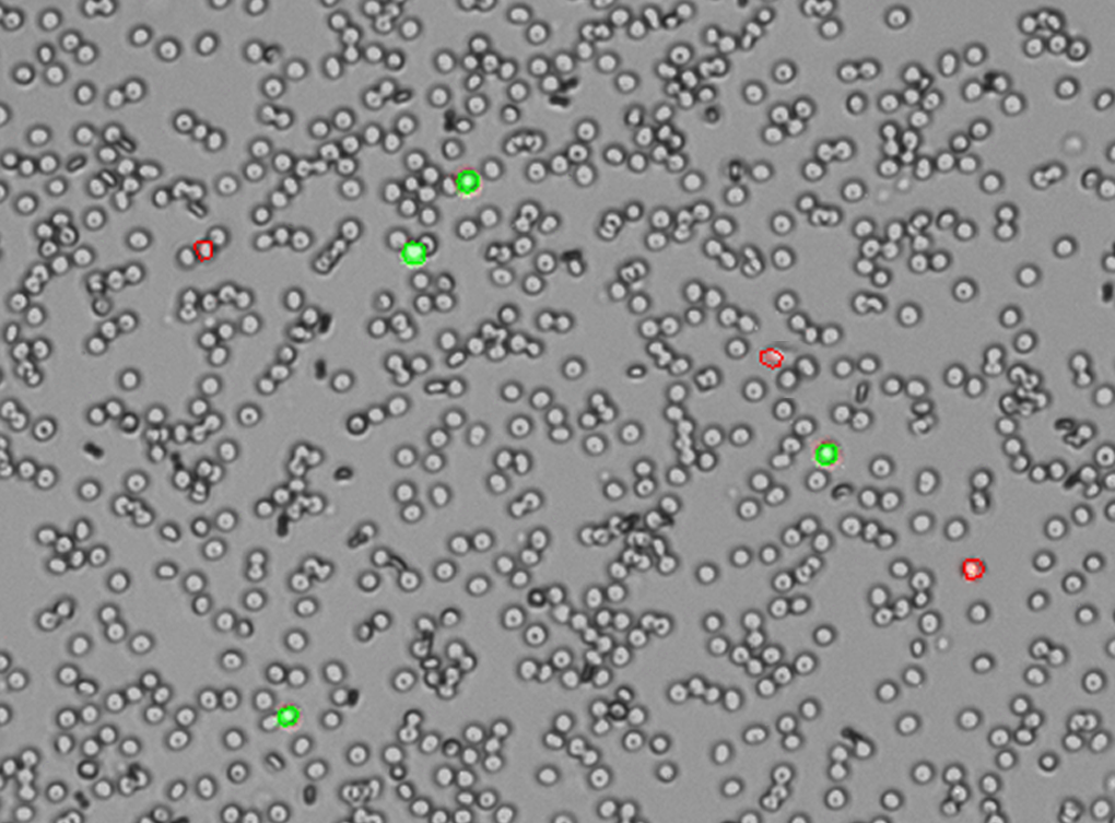 CellDrop_cellgating.jpg