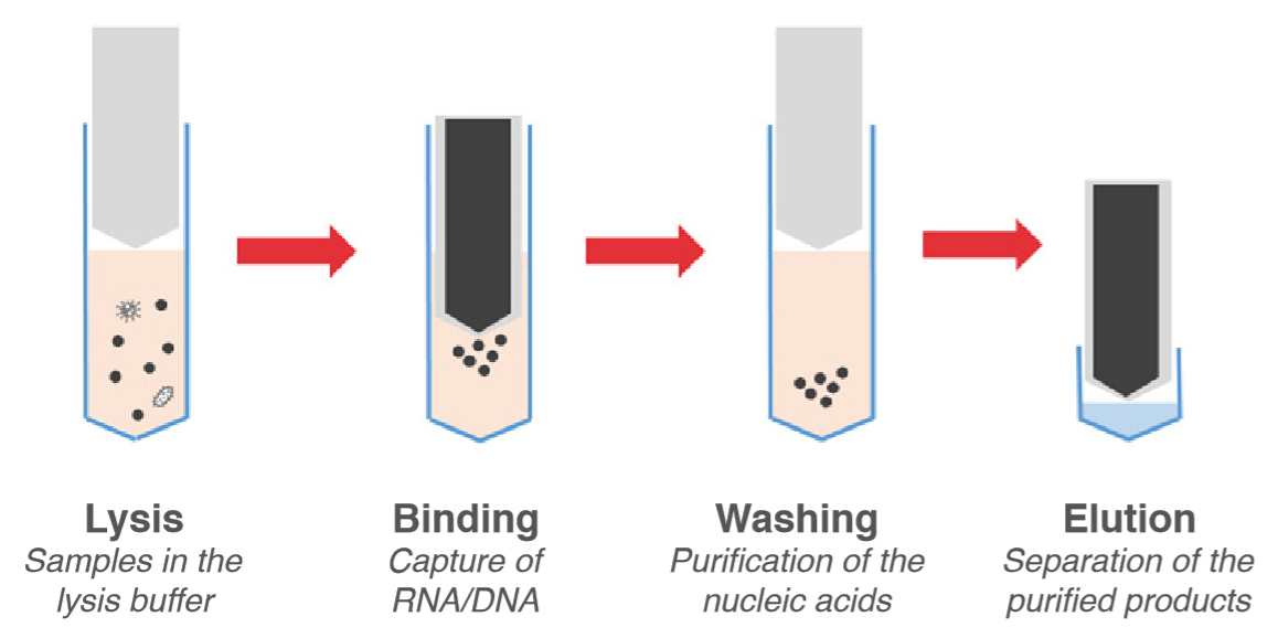 Ideal extraction process.jpg