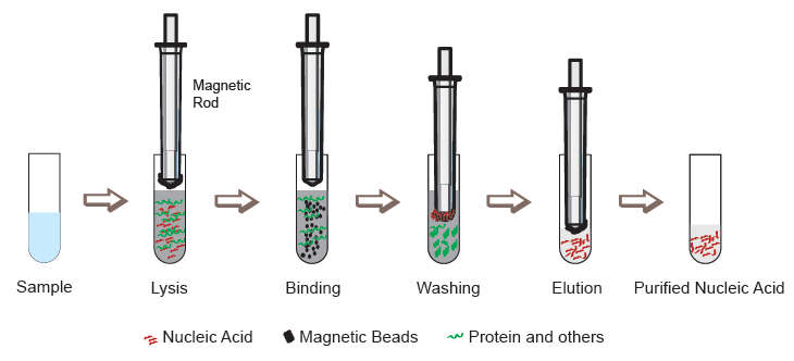 Ideal extraction process.jpg