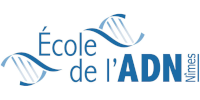 Ecole de l'ADN