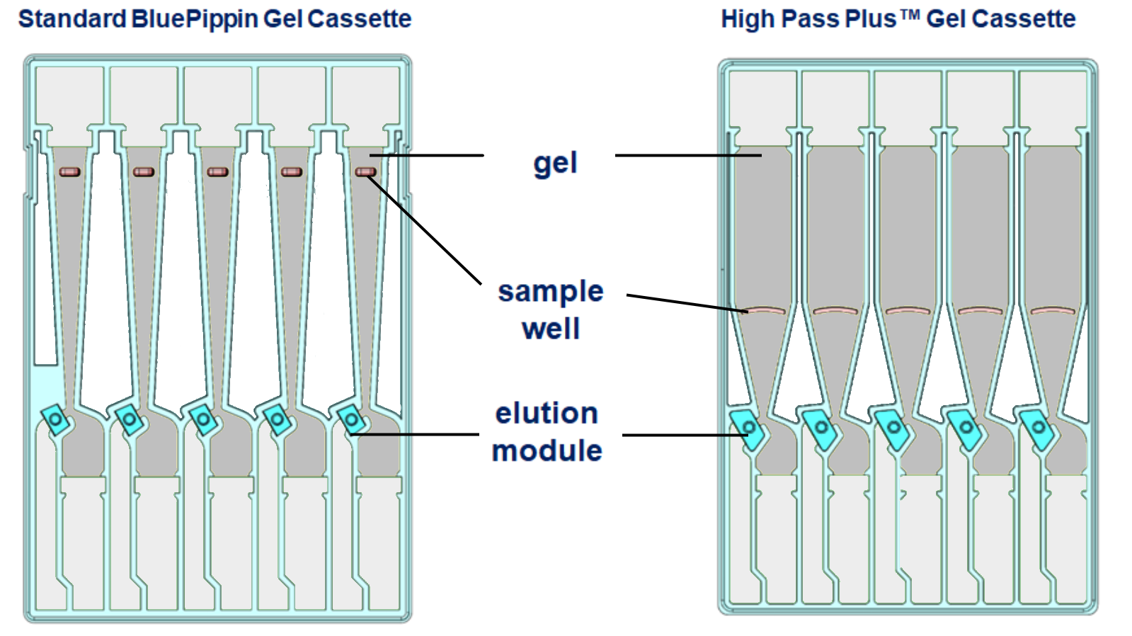high%20pass%20plus%20cassette-comparison