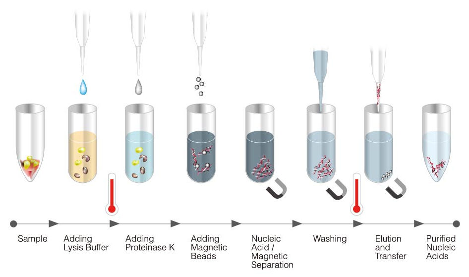 Zinexts%20process1.jpg